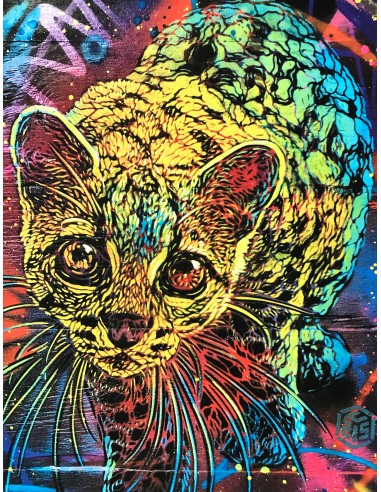 C215 - Margay XL, 2020